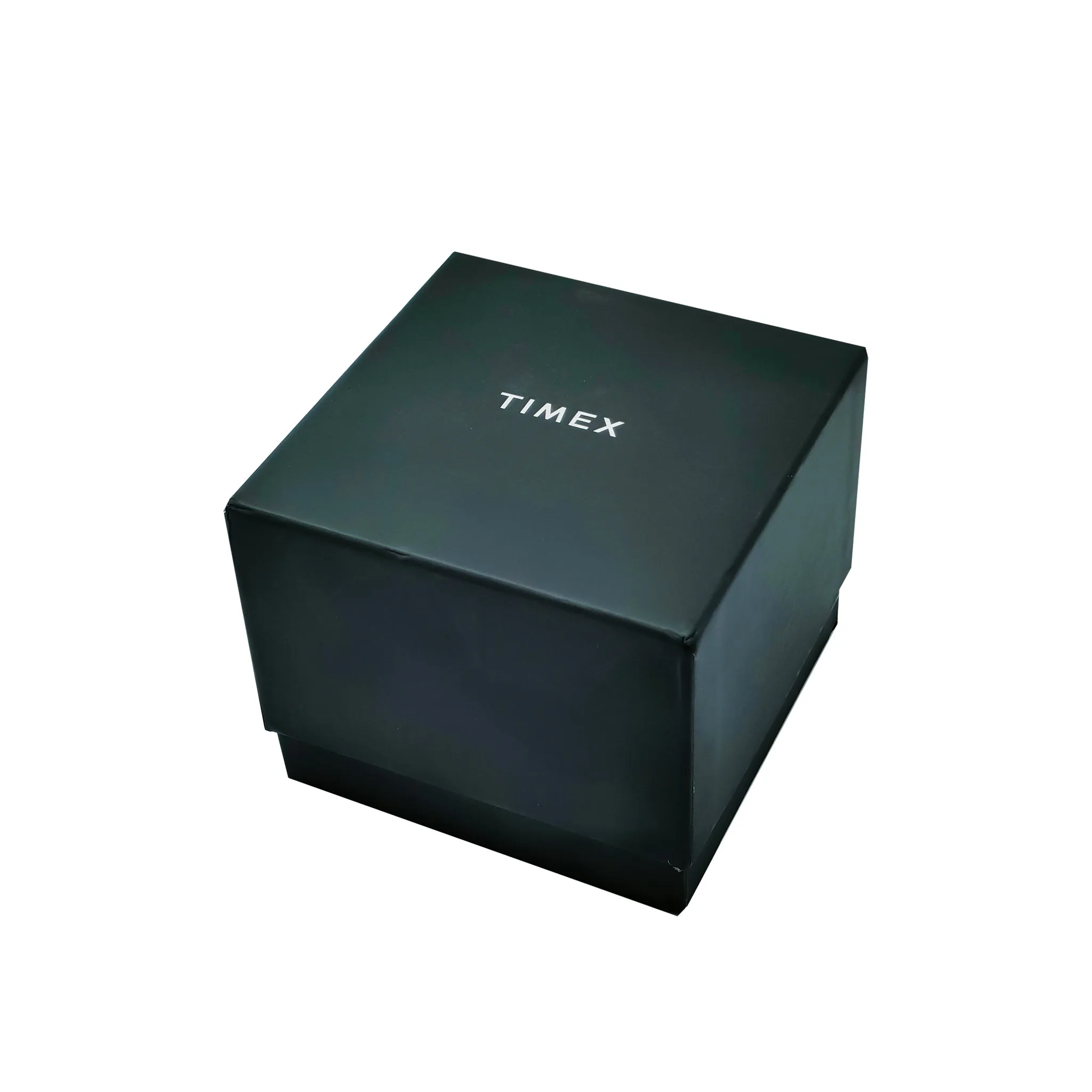 Timex Multi-Function Men's Watch TW2T35100